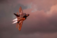 An F22 jet makes high speed passes in front of the air show crow